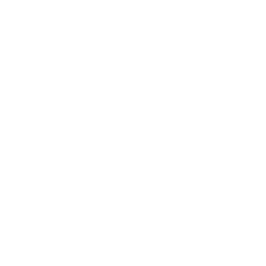 CarCompass Icon